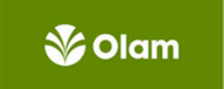 Olam